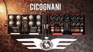 Cicognani Triple Decker preamp and Pompeii PE603 Echo demo [upl. by Gregor]