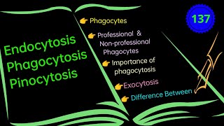 Endocytosis Phagocytosis and Pinocytosis EnteMicrobialWorld microbiology biology microbes yt [upl. by Eibbil]