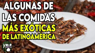 Sabores Únicos Las Comidas Más Exóticas que Ofrece Hispanoamérica [upl. by Dean]