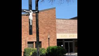 Holy Spirit Catholic Church Live Stream [upl. by Hareehahs774]