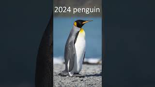 2024 penguin and 5000bce penguin animals trending [upl. by Annhoj7]