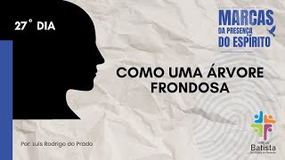 27° DIA  COMO UMA ÁRVORE FRONDOSA [upl. by Navillus]