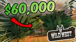 60000 The Wild West Hide and Seek [upl. by Aititil]