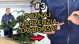 PRZYGOTOWANIE do STYLIZACJI drzewka BONSAI Ibuki 3 [upl. by Eirual]