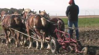 Great Lakes International Draft Horse Show amp Pull [upl. by Rysler232]