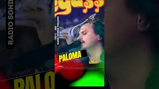 Paloma  canta EMILIO REYNA  En Vivo  Grupo Pegasso [upl. by Lovel]