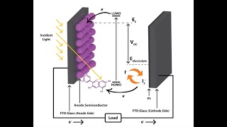 C8 Dyesensitized solar cells HL [upl. by Cheng]