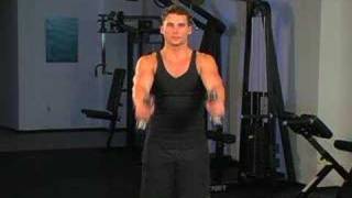 Dumbbell Lateral to Front Raises [upl. by Ambur]