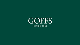 Goffs  October HIT amp Yearling Sale 2024 [upl. by Mailliwnhoj907]