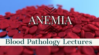 ANEMIA PATHOLOGY lecture 6 MEGALOBLASTIC ANEMIA with important stuff easy to do [upl. by Leona]