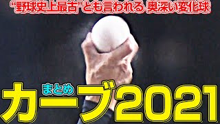 【変化球の話①】シンプルだからこそ奥深い『カーブまとめ2021』 [upl. by Bettencourt]