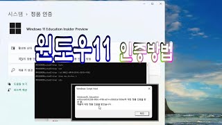 윈도우11 윈도우 정품 인증 무료 평가판 cmd 원클릭 자동 인증 다 불법입니다 [upl. by Breskin387]