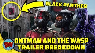 Ant Man and The Wasp Trailer Breakdown  Explained in Hindi [upl. by Emmalee575]