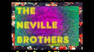 The Neville Brothers  Caravan  1986 Santa Cruz [upl. by Oly]