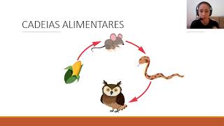 4EF Relações alimentares cadeias alimentares e teias [upl. by Aridan]