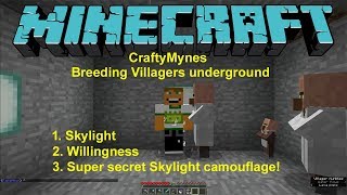 Φ Minecraft breeding Villagers under ground [upl. by Giulia514]