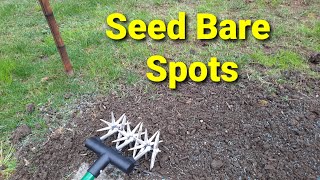 How To Seed Bare Spots In Lawn [upl. by Arnold499]