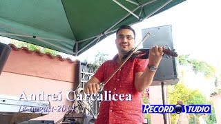 ANDREI CARCALICEA  UN MAESTRU AL VIORII  Colaj SARBA INSTRUMENTALA [upl. by Peugia345]