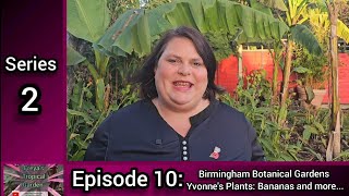 S2 E10 Freyas Tropical Garden Birmingham Botanical Gardens Yvonnes Plants Bananas and more [upl. by Kelleher142]