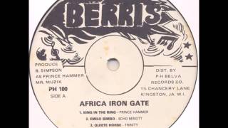 Prince Hammer  King In A The Ring  LP Berris 1982  KILLER ROOTS RUBADUB 80S DANCEHALL [upl. by Yme]