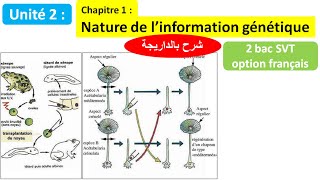 Nature de linformation génétique svt 2 bac svt biof شرح بالداريجة [upl. by Nahtannhoj]