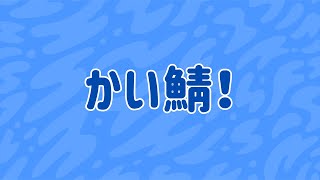 マイクラ参加型『全機種対応』サーバー かい鯖！ [upl. by Kopans]