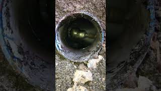 Drain Cleaning  Hydro Jet  Pressure Cleaning [upl. by Seena64]