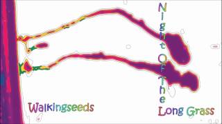 Walkingseeds  Night Of The Long Grass [upl. by Rolland]