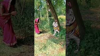 araji karila Mai Laika Tohar Ho🙏🚩vfx youtubeshorts bhaktibhajan bhajan bhakti trending [upl. by Ellwood]