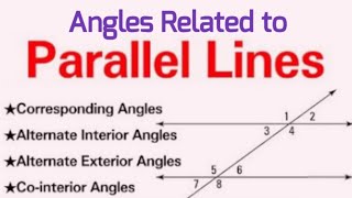 All about Parallel Lines  Corresponding Angles Alternate interior angles Cointerior angles [upl. by Kinom513]