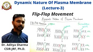 FlipFlop movement of plasma membrane lipids  Dynamic Nature of Plasma Membrane Lecture 3 csir [upl. by Orihakat]