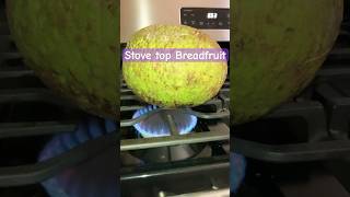 Stove top breadfruit roasting Stove Shorts Jamaican Foodie Delicious Roasting Lovefood [upl. by Areehs828]