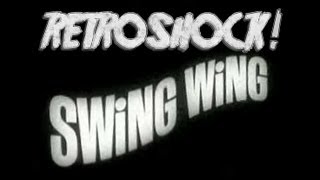 Régi Reklámparódiák 1  Swing Wing Retro Fidget Spinner 1965 [upl. by Chaing459]