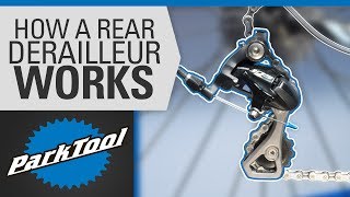 How a Rear Derailleur Works [upl. by Hyo974]