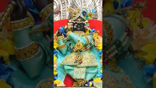 Jhulo re Mara pyara re sanwara kaha radha krishna keshav radharaman kunjbihari dwarkadhish [upl. by Conlan]