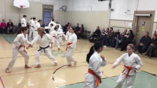 Karatedo Shotokai Youth Grading [upl. by Ttenyl]