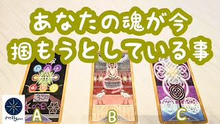 あなたの魂が今掴もうとしている事♪タロット＆オラクルカードリーディング [upl. by Izy]