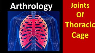 Joints of thoracic cage anatomy thorax thoraxanatomy cartilage arthritis jointpain [upl. by Publius]