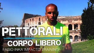 ALLENAMENTO PETTORALI  ESERCIZI CORPO LIBERO PETTO [upl. by Conah]