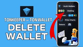 How to Delete your wallet in TON Wallet 2024 [upl. by Sikleb]