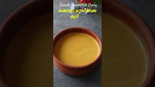 തക്കാളി മുരിങ്ങക്ക ഒഴിച്ച് കറി  Thakkali Muringakka Curry Recipe  Tomato Curry  Ozhichu Curry [upl. by Eiramnerual]