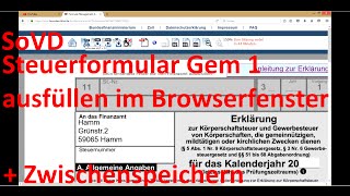 W0183 Folge002 Steuerformular Gem 1 mit Text ausfüllen [upl. by Narod]