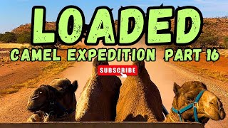 Camel expedition Part 16 Loaded [upl. by Luise808]