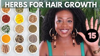 15 Herbs to Grow Your Hair Fast [upl. by Inavihs836]