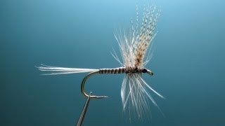 Fly tying Quill Gordon クイルゴードンをフライタイイング quotFlyTiers Eyes No24quot [upl. by Bastian827]