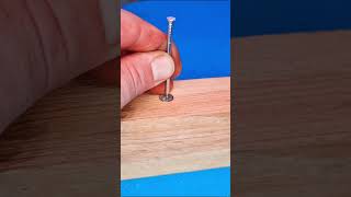 Tischler gibt Tips zur perfekten Holzbearbeitung diy woodworking shorts tiktok [upl. by Dean238]