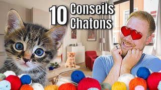 10 CONSEILS avant dadopter son CHATON  🐈  ANI MOOD [upl. by Reh748]