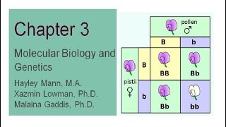 Explorations Chapter 3 Molecular Biology and Genetics [upl. by Marco]