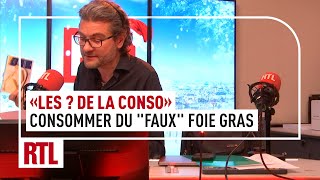 Olivier Dauvers  pourquoi faudraitil consommer du quotfauxquot foie gras [upl. by Pierce]