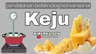 bioteknologi konvensional  dibalik pembuatan keju  biologi sma kelas 12 bioteknologi utbk [upl. by Hillari147]